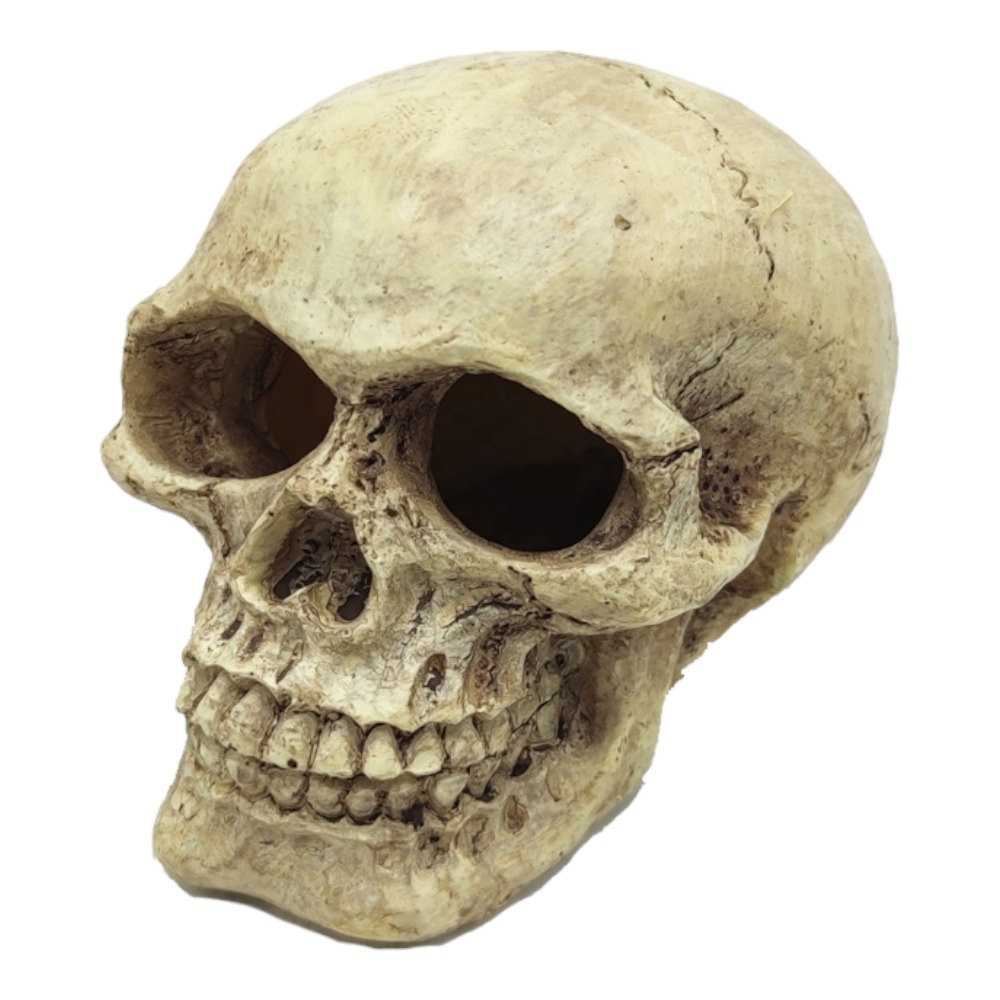 AquaOne Skull 9cm