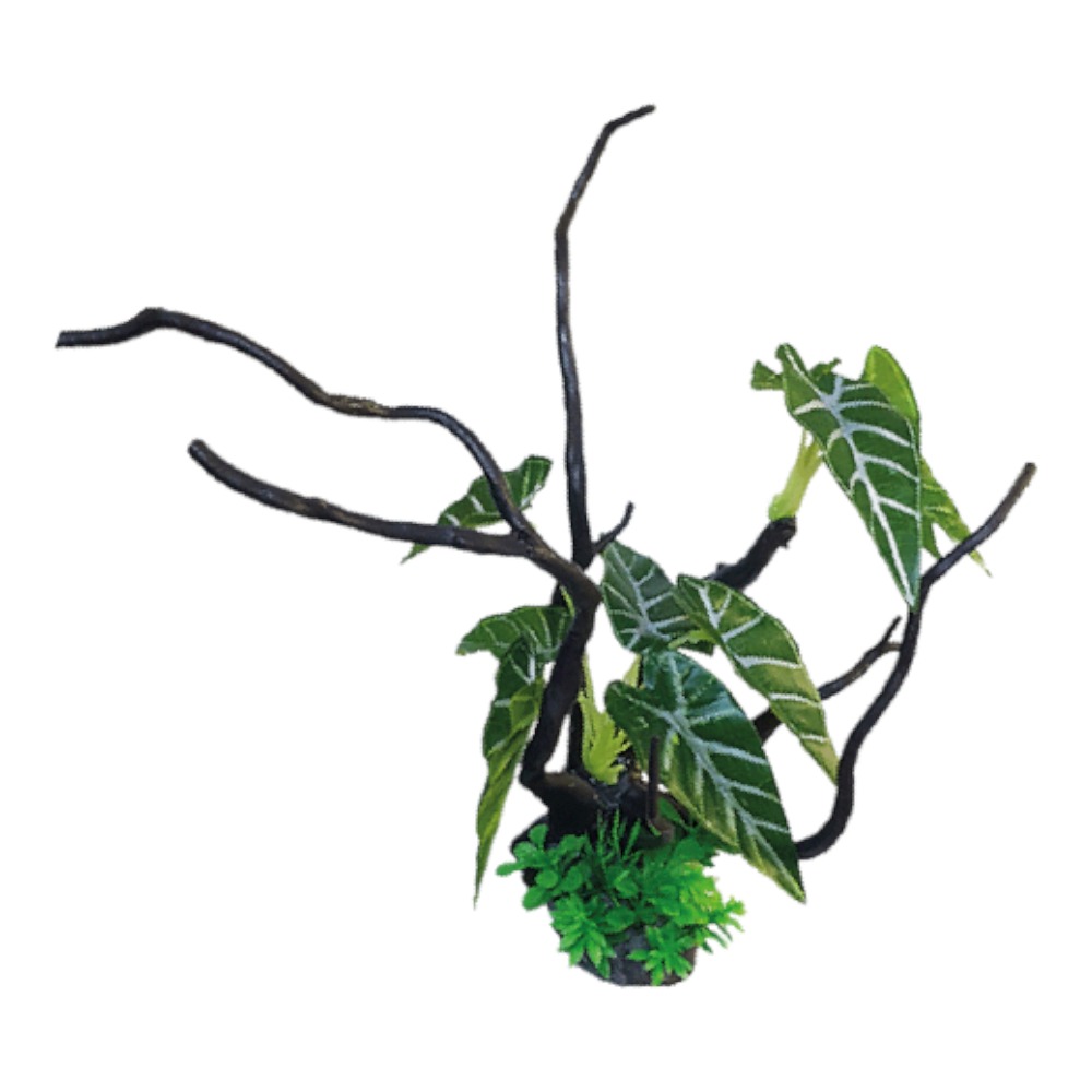AquaOne Ecoscape Philodendron Driftwood Green 34H x 33Wcm