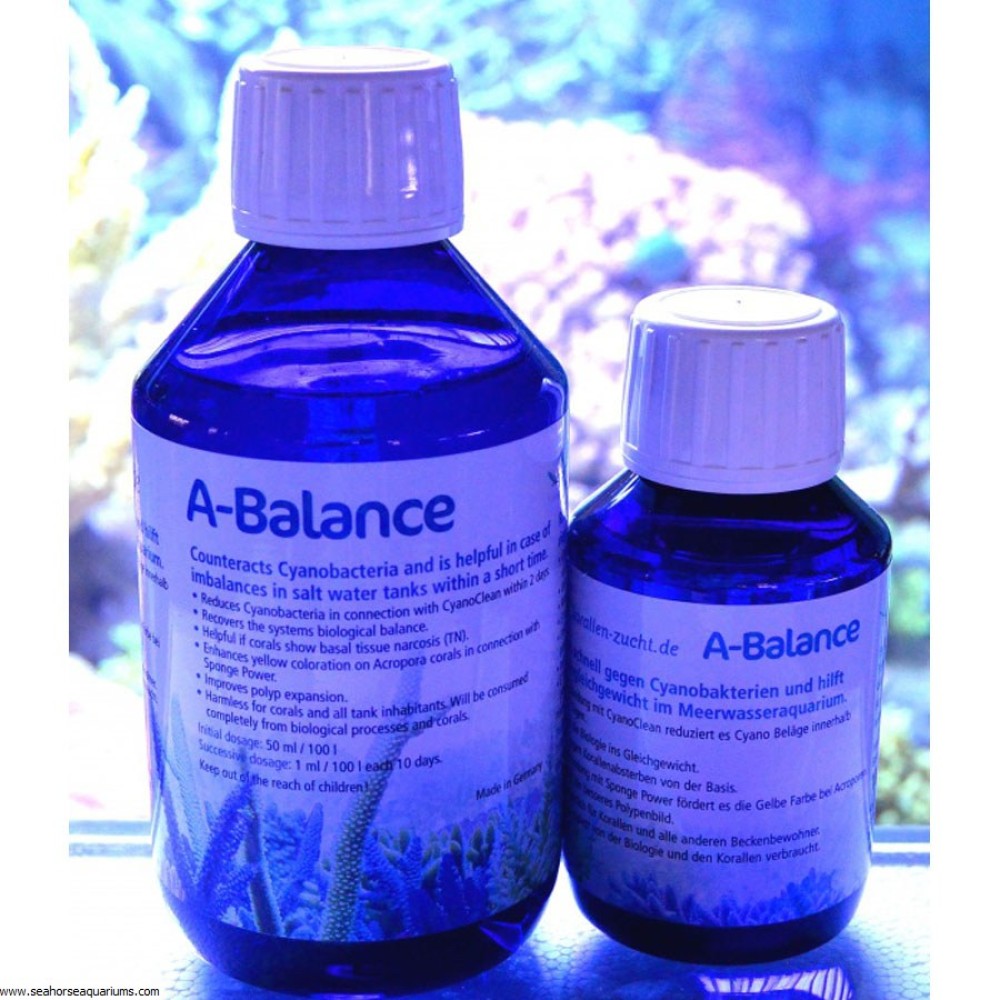 KZ A Balance 100 ml